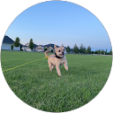 Belle profile picture