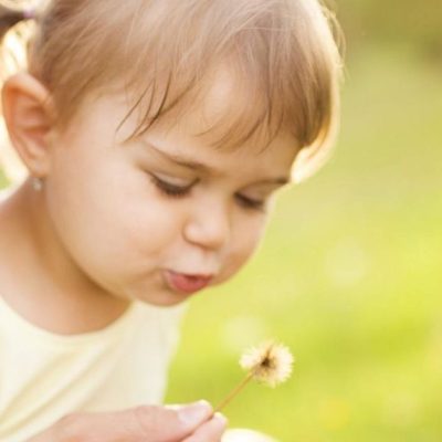 behavior guidance - blowing a sunflower